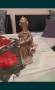 Бронзова статуетка-99, снимка 2