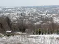 парцел за строеж на къща, с.Басарбово, снимка 2