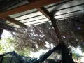 Каравана в Гърция- Карияни, снимка 6