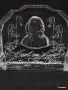Винтидж преспапие от кристално стъкло Carl von Linné ново, снимка 3