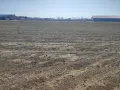 Продавам земеделска земя, снимка 4