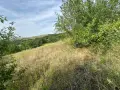 с. Калипетрово имот 1191кв.м ул. Орехова 32 / градина / парцел / терен , област Силистра -цена 8 400, снимка 9