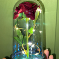 Оригинална вечна светеща роза в стъкленица, снимка 6 - Романтични подаръци - 44328827