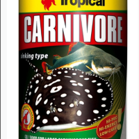 Tropical Carnivore, снимка 1 - Рибки - 44553418