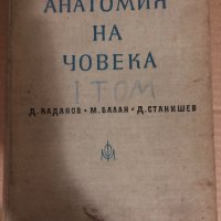 Анатомия на човека том 1-2 Д Каданов,М.Балан, Д.Станишев, снимка 1 - Специализирана литература - 34531816
