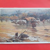 Стара цветна пощенска карта военна Царство България, снимка 1 - Антикварни и старинни предмети - 42215217