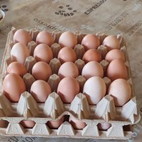 Яйца от домашни,свободно живеещи кокошки.БИО!, снимка 1 - За птици - 33765847