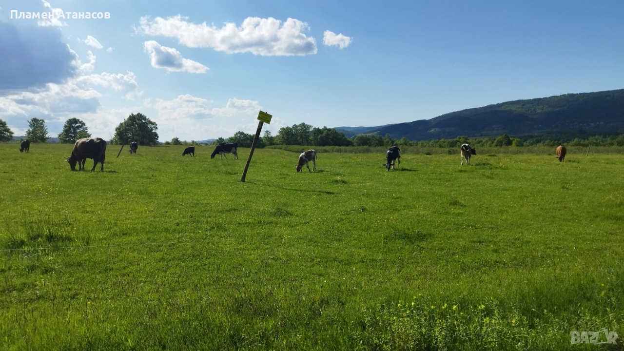 ЕЛЕНА общ. Велико Търново 8 000 кв.м. Равен парцел с лице на 3 пътя , снимка 1