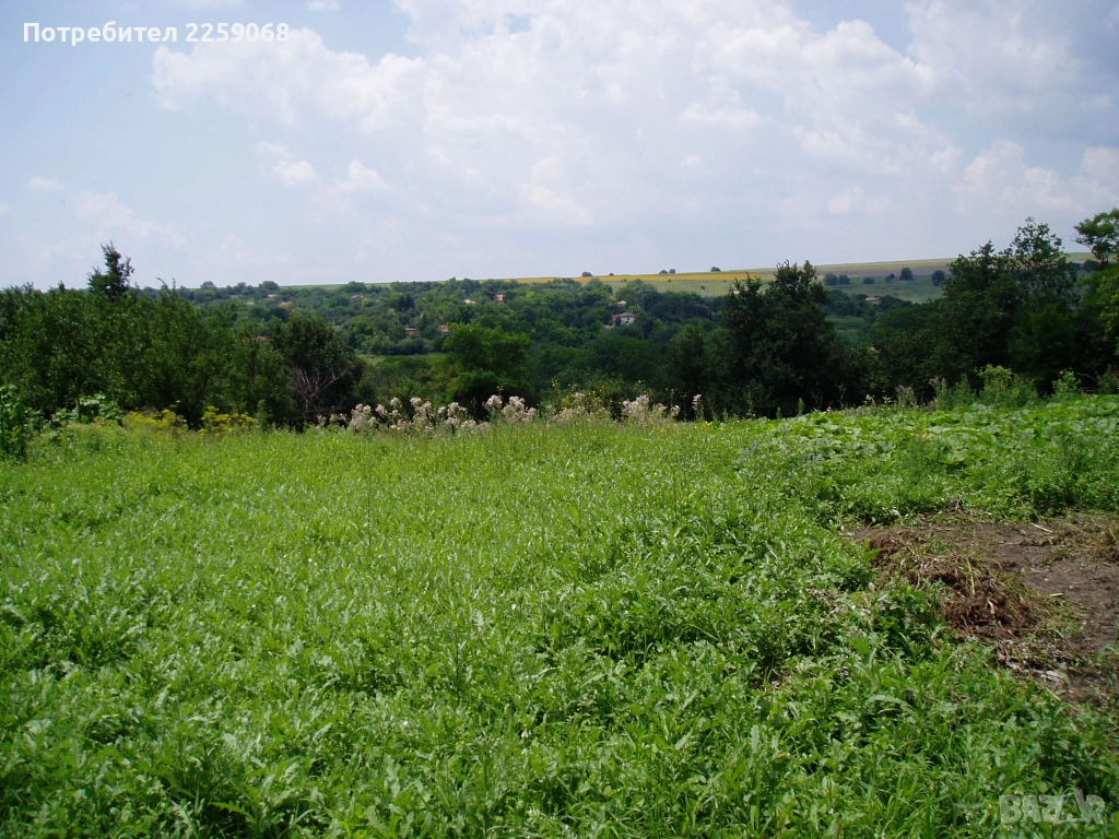 Продавам парцел в с.Щипско ,област Варна, снимка 1