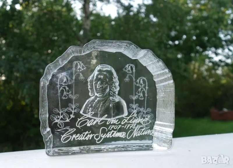 Винтидж преспапие от кристално стъкло "Carl von Linné"., снимка 1