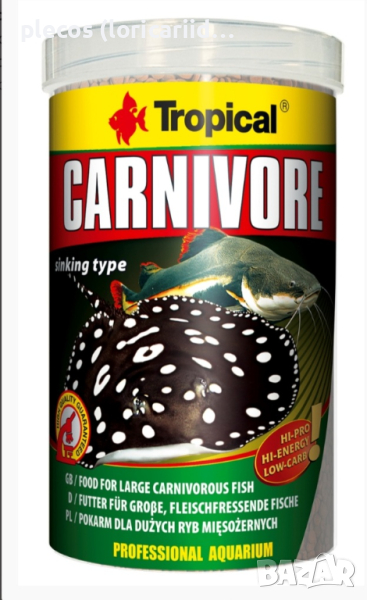 Tropical Carnivore, снимка 1