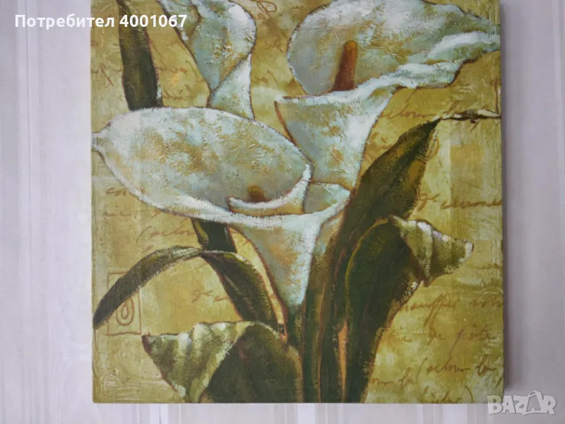  картина Гладиол. От Португалия., снимка 1