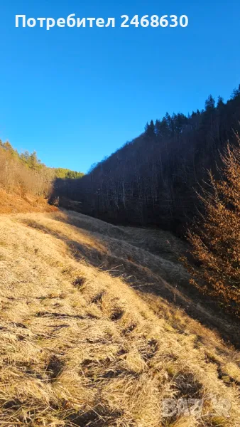 Земеделска земя, снимка 1