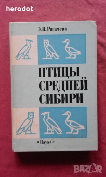 Птицы Средней Сибири - Э. В. Рогачева, снимка 1