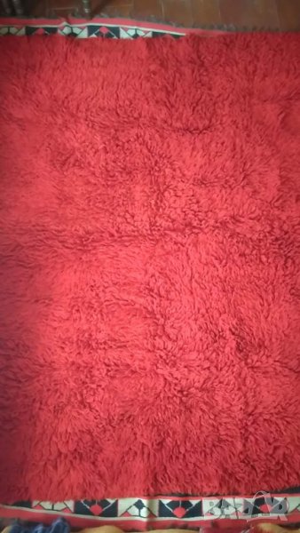 Родопски китеници с дълъг косъм, снимка 1