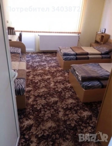 Нощувки - стаи под наем