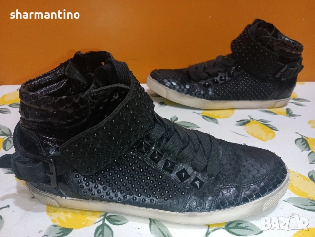 Kennel Schmenger кожени N 38