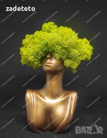 Кашпа златна Дама със скандинавски мъх, снимка 1