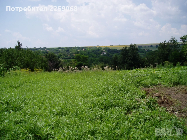 Продавам парцел в с.Щипско , снимка 2 - Парцели - 52648958