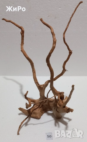 Корен от Азалия /декорация/ 50