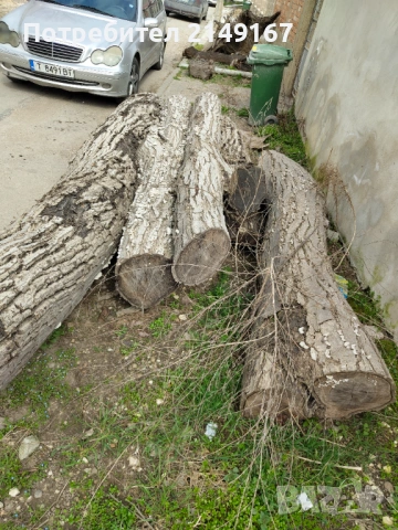 Дървен материал на трупи , снимка 9 - Други - 53972698