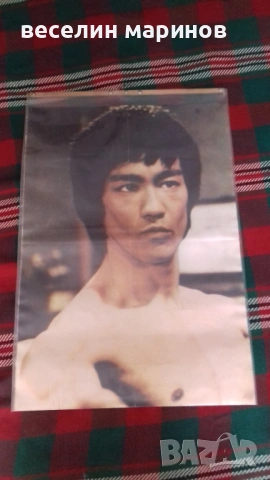 Продавам двоен плакат на Брусли, снимка 4 - Картини - 54266837