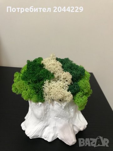 Кашпа "Дънер" със скандинавски мъх