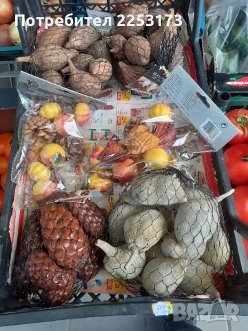 Пакети сушен баобаб и други за декор, снимка 3 - Декорация за дома - 49271760