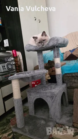 Котешка катерушка с драскалка на 4 нива,с играчка,несглобена,нова,в неразпечатан кашон., снимка 2 - За котки - 55804439