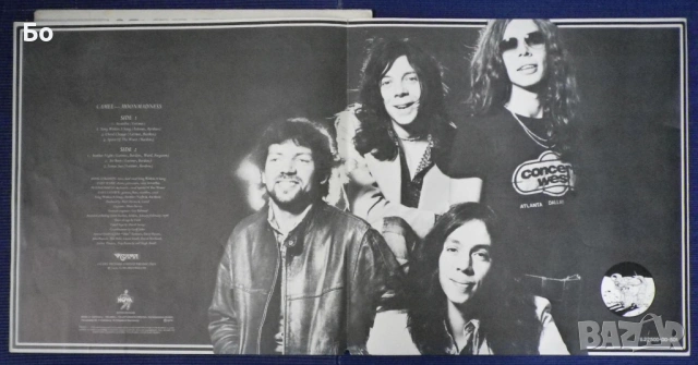 грамофонни плочи Camel, снимка 9 - Грамофонни плочи - 54018929