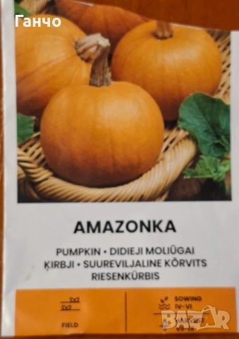 Семена за тиква-различни сортове, фасул - видове и царевица