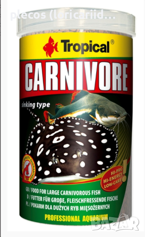 Tropical Carnivore, снимка 1 - Рибки - 44553418