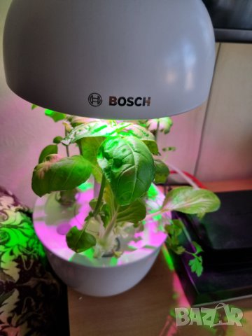 Bosch SmartGrow 3 - домашно градинарство, снимка 4 - Други - 44334800
