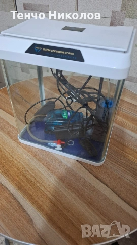 Аквариум , снимка 5 - Аквариуми - 53114300