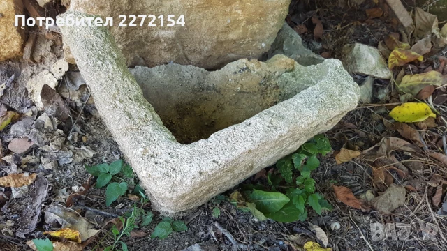 Елашник поилник