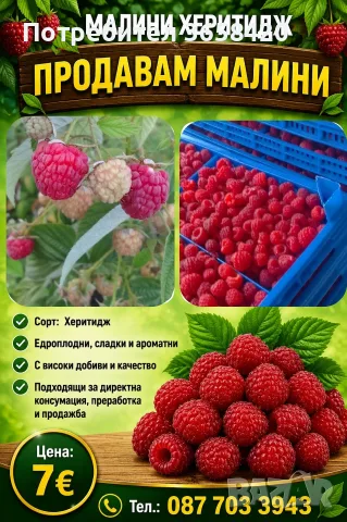 Продавам малини херитидж 