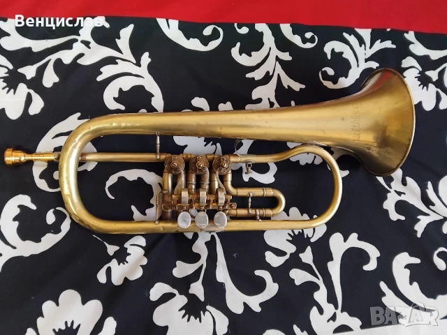 Флигорна Wetklang