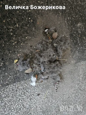 Почистване , снимка 2 - Почистване на домове - 48766204