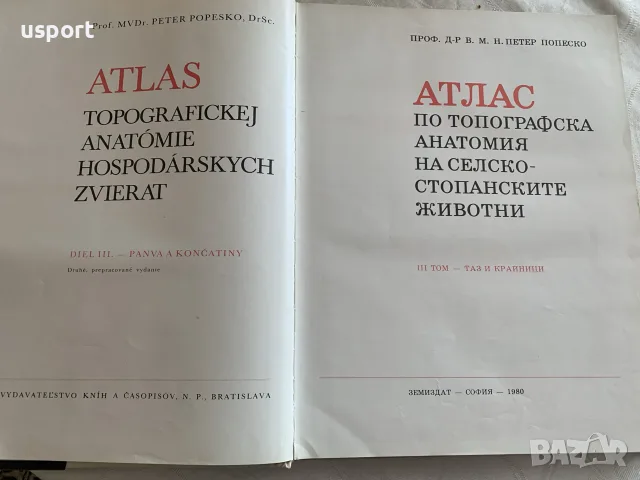 Атлас по топографска анатомия на селскостопанските животни. Том 3, снимка 3 - Специализирана литература - 55961264