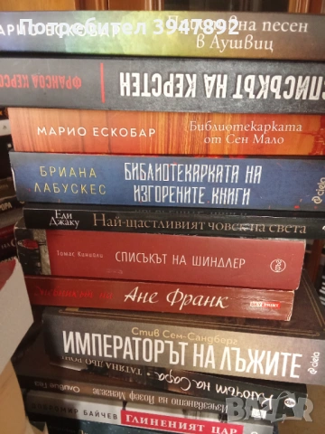 Книги ВСВ Гестапо Аушвиц, снимка 2 - Художествена литература - 54061173