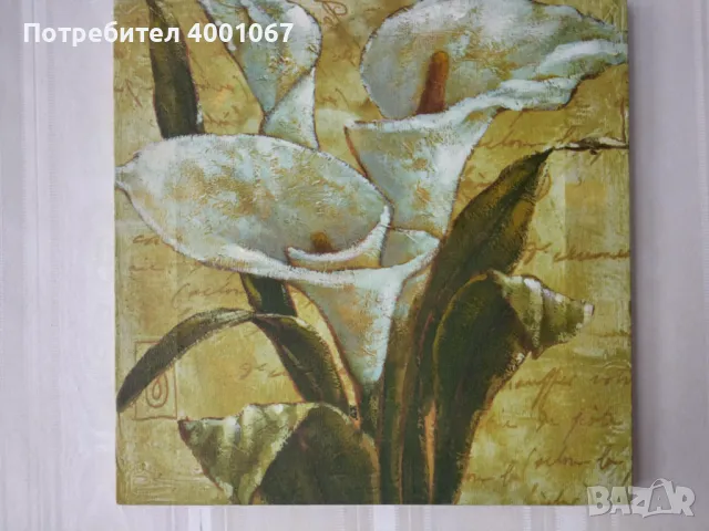  картина Гладиол. От Португалия., снимка 1