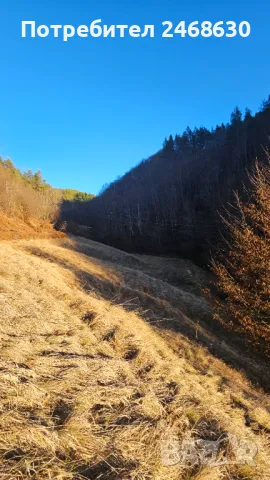 Земеделска земя