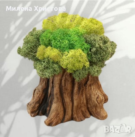 Кашпи със скандинавски мъх , снимка 2 - Декорация за дома - 42576654