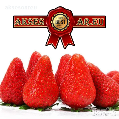 100 бр. семена от гигантска ягода градинско плодово растение сладки и вкусни червени отлични ягоди , снимка 10 - Сортови семена и луковици - 50619358