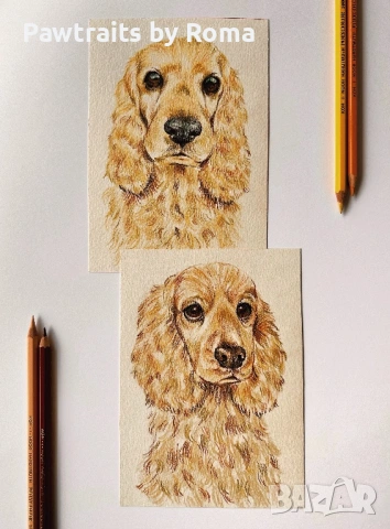 Ръчно рисуван портрет на домашен любимец, снимка 3 - Картини - 38707277
