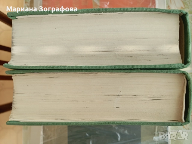 Немско-български речници 2 вида, - Българо-руски и Руско-български 1970-80 г., снимка 9 - Чуждоезиково обучение, речници - 41801102