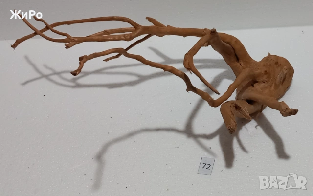 Корен от Азалия /декорация/ 72, снимка 3 - Други - 54102548