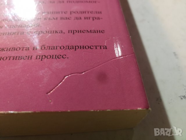 Храбри души-Сами ли избираме предизвикателствата в живота преди да се преродим?- Робърт Шварц, снимка 5 - Езотерика - 31278124