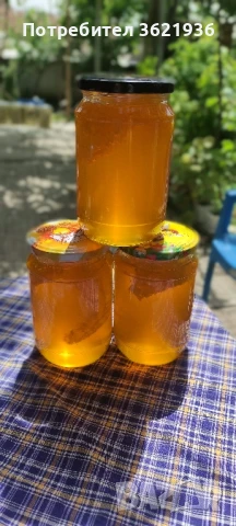 Пчелен мед натурален от с. Пчела.