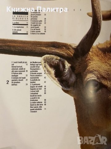 Bulgaria- il Patrimonio Naturalistico, снимка 2 - Специализирана литература - 31175322